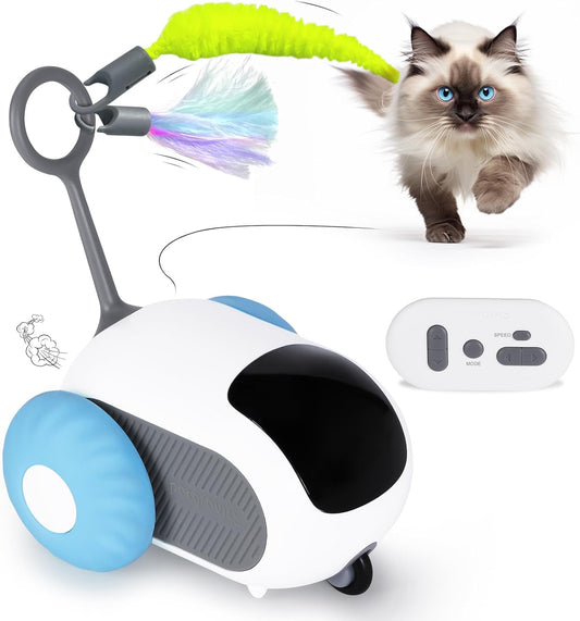 Smart Cat Interactive Car Toy